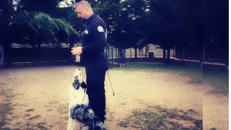 İleri İtaat Eğitimi